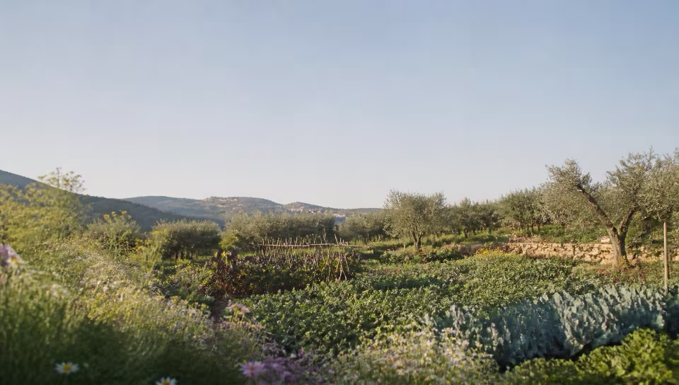 Paesaggio rurale del territorio di Orto di Pino
